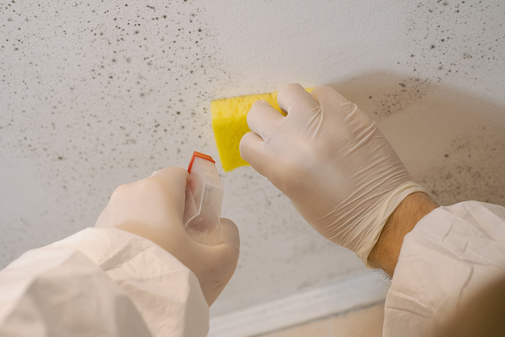 Omaha Home, Kitchen, Bathroom and Basement Remodeling - Close-up of a person wearing protective gloves and a suit, using a yellow sponge and spray bottle to clean mold from a white wall.